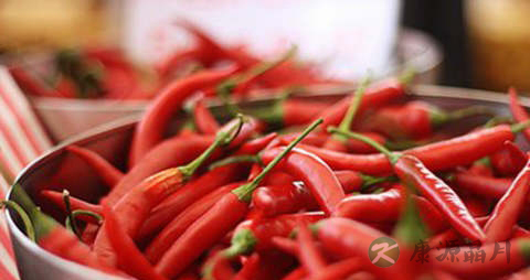 辣椒尖的吃法_哪些人不能吃辣椒尖