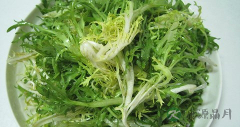 凉拌苦菊需要焯水吗