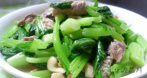 报春菜的吃法_哪些人不能吃报春菜