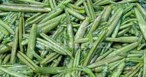 莼菜的吃法_哪些人不能吃莼菜 莼菜的吃法_哪些人不能吃莼菜