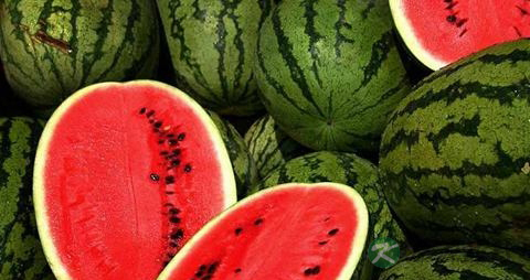 桃子可以和西瓜一起吃吗