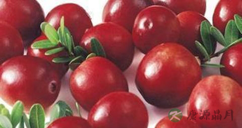 蔓越莓的吃法_哪些人不能吃蔓越莓