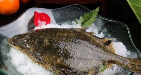 雅片鱼的营养价值_吃雅片鱼的好处