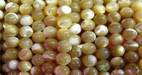 马蹄贝的营养价值_吃马蹄贝的好处