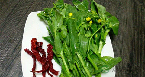 油菜的吃法_哪些人不能吃油菜 油菜的吃法_哪些人不能吃油菜