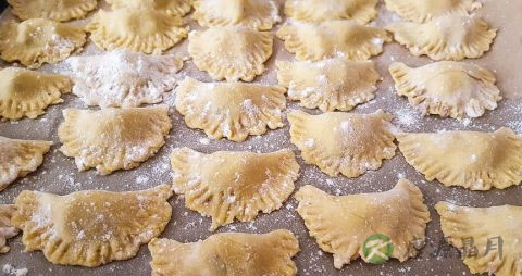 饺子粑和饺子的区别 饺子粑和饺子的区别