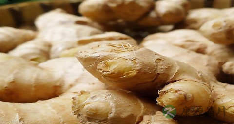 老姜的吃法_哪些人不能吃老姜