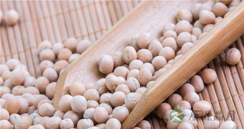 白豌豆的吃法_哪些人不能吃白豌豆