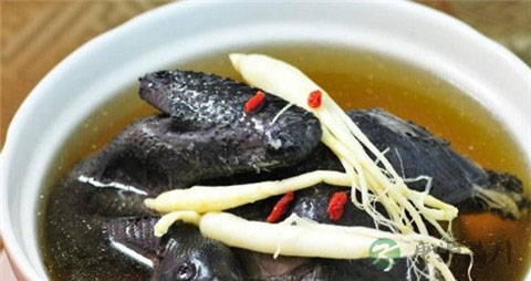 当归党参炖鸡的功效 当归党参炖鸡的功效