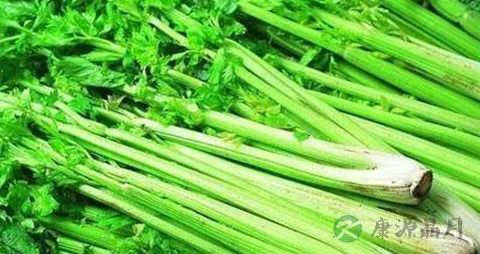 旱芹的营养价值_吃旱芹的好处