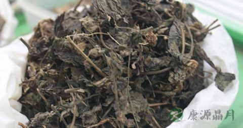 车前草的吃法_哪些人不能吃车前草