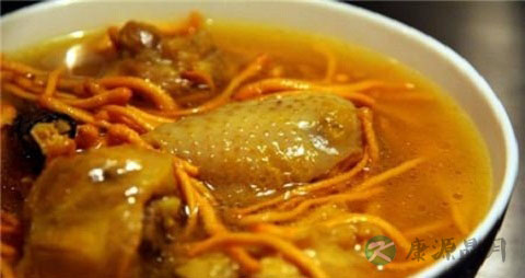 虫草花的吃法_哪些人不能吃虫草花 虫草花的吃法_哪些人不能吃虫草花