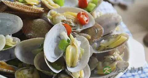 花蛤蜊的营养价值_吃花蛤蜊的好处