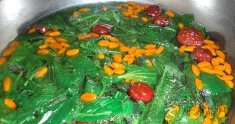 车前草的吃法_哪些人不能吃车前草