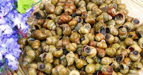 螺蛳的营养价值_吃螺蛳的好处