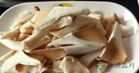 猪肚菇的营养价值_吃猪肚菇的好处 猪肚菇的营养价值_吃猪肚菇的好处