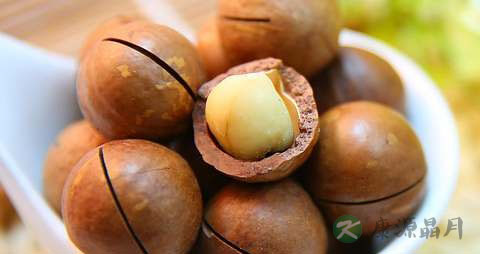 夏威夷果怎么保存 夏威夷果怎么保存