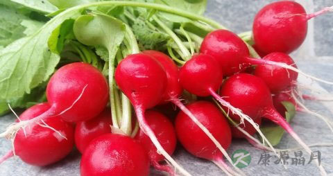 四川萝卜怎么腌制好吃 四川萝卜怎么腌制好吃