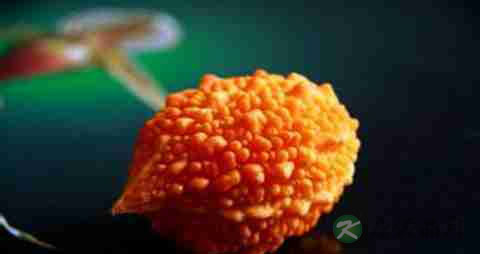 赖葡萄的营养价值_吃赖葡萄的好处