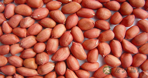 黑花生和红花生的区别