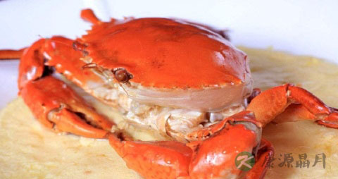 踞缘青蟹的营养价值_吃踞缘青蟹的好处 踞缘青蟹的营养价值_吃踞缘青蟹的好处