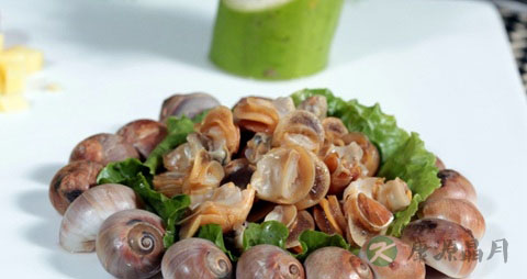 响螺肉的营养价值_吃响螺肉的好处