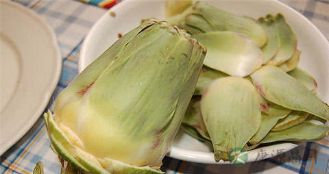 朝鲜蓟的吃法_哪些人不能吃朝鲜蓟