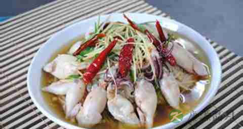 海兔的营养价值_吃海兔的好处