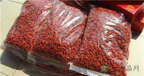 枸杞每天吃多少粒合适