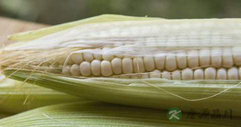 白玉米渣的营养价值_吃白玉米渣的好处