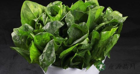 含草酸的蔬菜有哪些