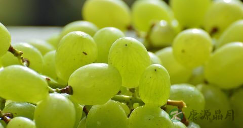 吃完葡萄可以喝水吗