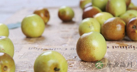 冬枣的吃法_哪些人不能吃冬枣