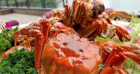 蒸螃蟹要多长时间