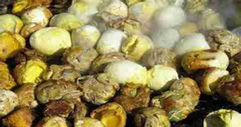 毛蛋的营养价值_吃毛蛋的好处