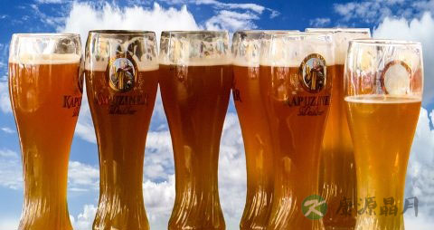 壳菜的营养价值_吃壳菜的好处