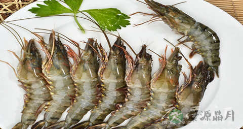 草虾的营养价值_吃草虾的好处