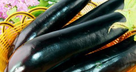 生吃茄子有毒吗