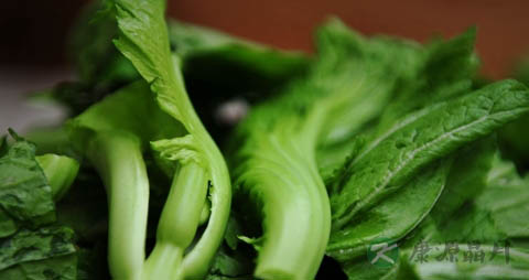 小叶芥菜的吃法_哪些人不能吃小叶芥菜