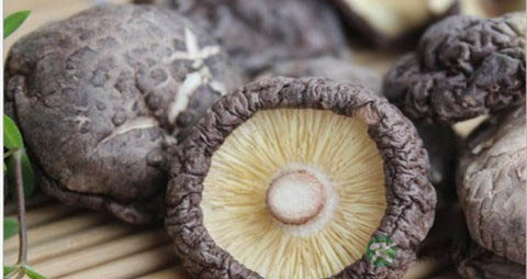 花菇的吃法_哪些人不能吃花菇