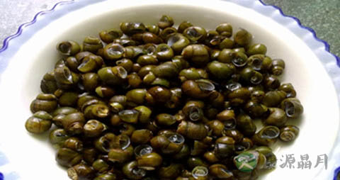 螺蛳是青壳的好吃还是黑壳的好吃