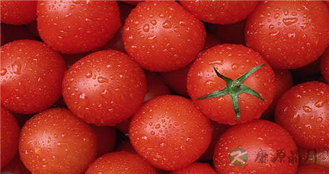 西红柿的营养价值_吃西红柿的好处