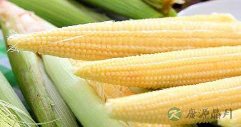 玉米笋的营养价值_吃玉米笋的好处