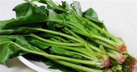 菠菜根的营养功效