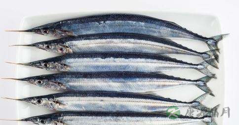 针量鱼的营养价值_吃针量鱼的好处 针量鱼的营养价值_吃针量鱼的好处