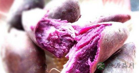 紫薯是转基因食品吗