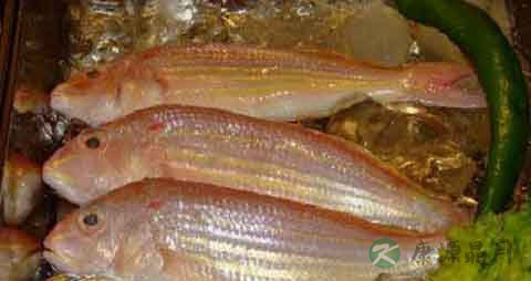 金线鱼的营养价值_吃金线鱼的好处