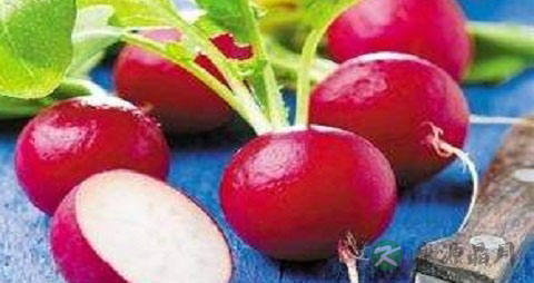 变萝卜的吃法_哪些人不能吃变萝卜 变萝卜的吃法_哪些人不能吃变萝卜