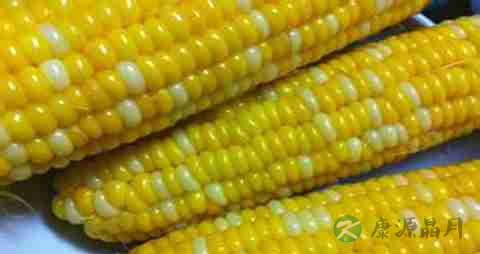 水果玉米的营养价值_吃水果玉米的好处