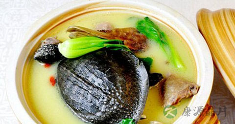 鳖的营养价值_吃鳖的好处